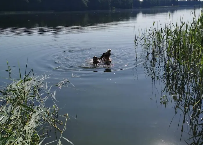 Nad Jeziorem Apartment *